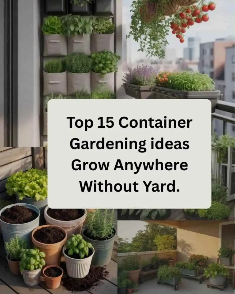 Top 15 Container Gardening ideas Grow Anywhere Without Yard.